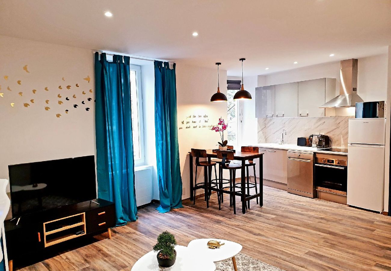 Appartement à Saint-Affrique - Le saphire St Affrique hyper centre ville