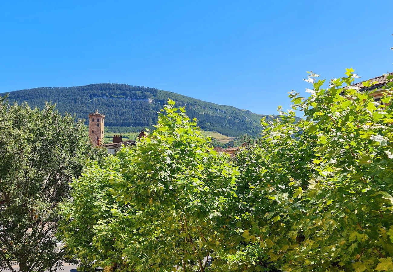Appartement à Millau - La Marquina de Millau centre ville