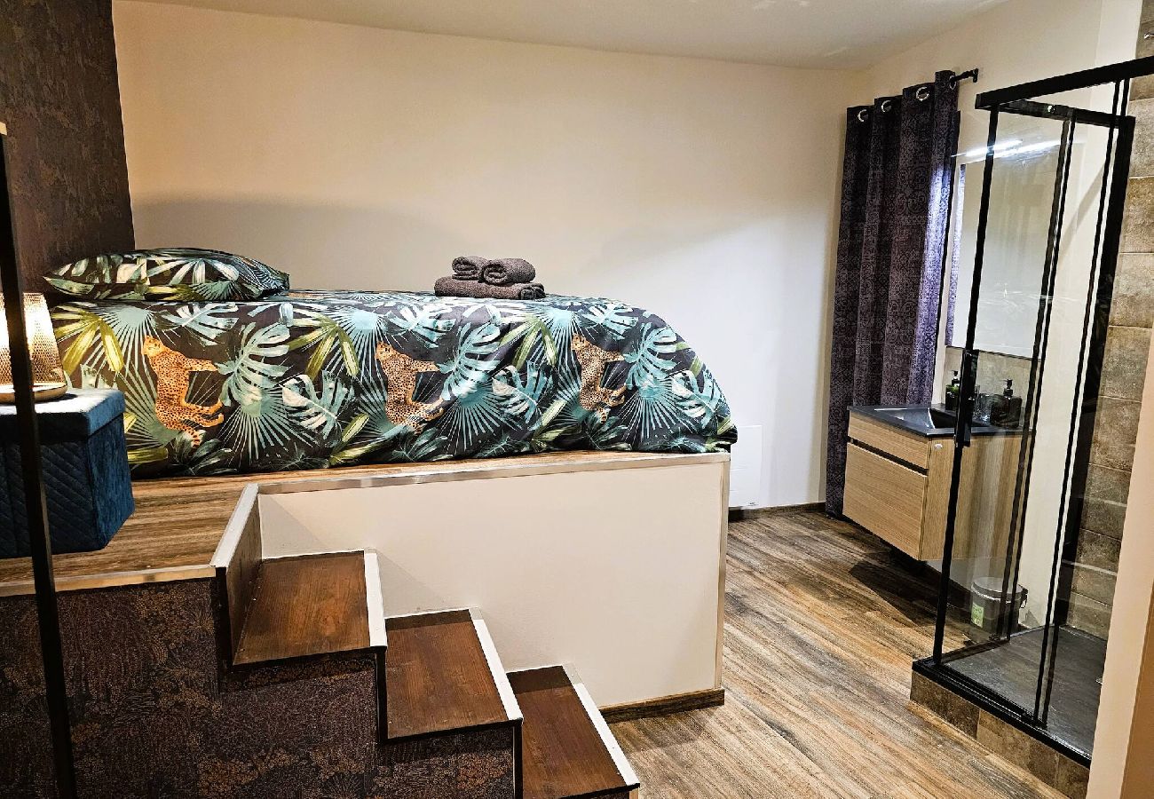 Appartement à Saint-Affrique - Le  Pont vieux St affrique centre ville